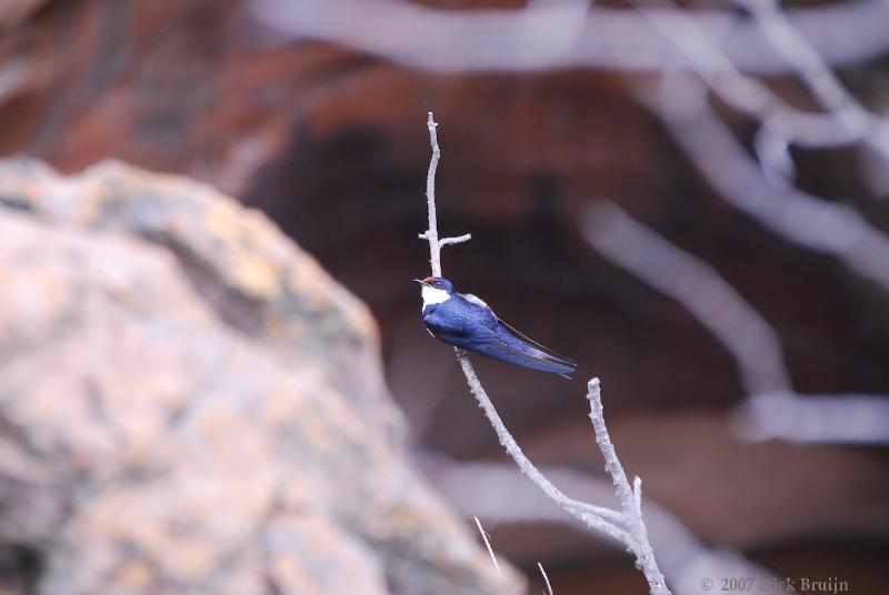 2007-11-06_12-31-20.jpg - Bourke's Luck Potholes, Blyde River Canyon, South Africa