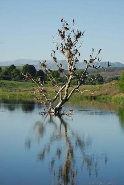 2007-11-11_17-19-12.jpg - Underberg, South Africa