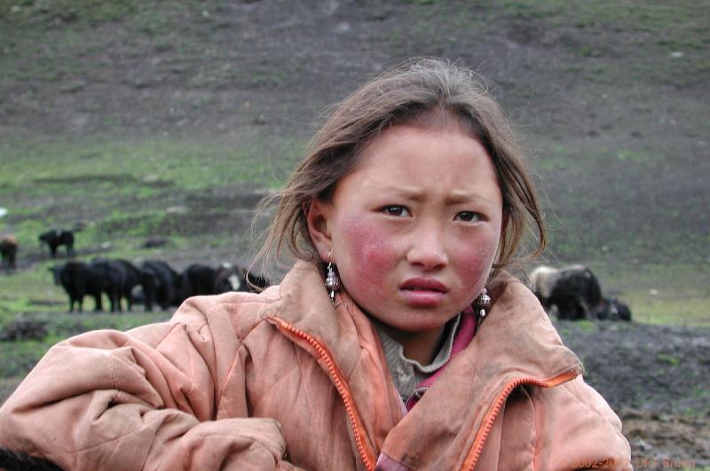 CHTN1287.jpg - China: Nomads between Xiahe and Langmusi