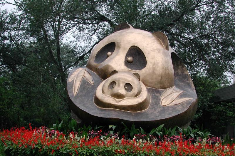 CHTN1415.jpg - China: Chengdu: Research Base of Giant Panda Breedings