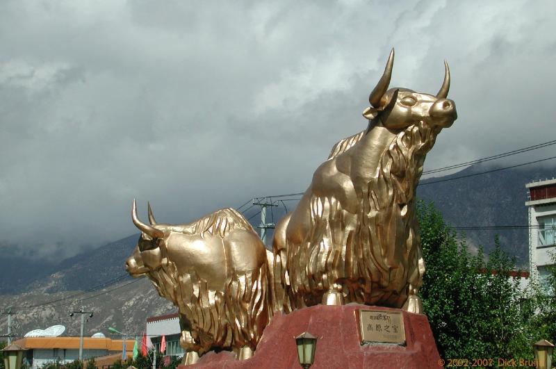 CHTN1546.jpg - Tibet: Lhasa: Golden Yak's