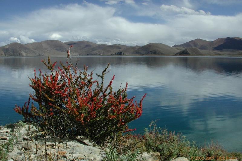 CHTN1696.jpg - Tibet: Yamdruk Tso Lake