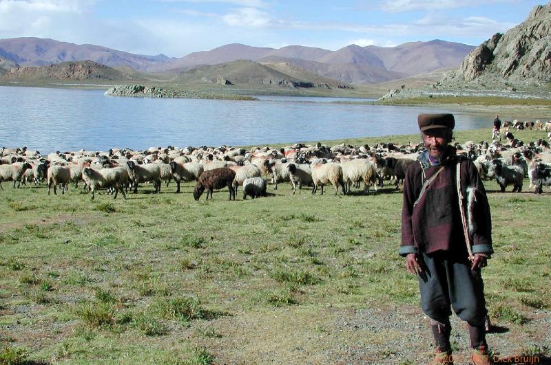 CHTN1724.jpg - Tibet: Nomad near Yamdruk Tso Lake