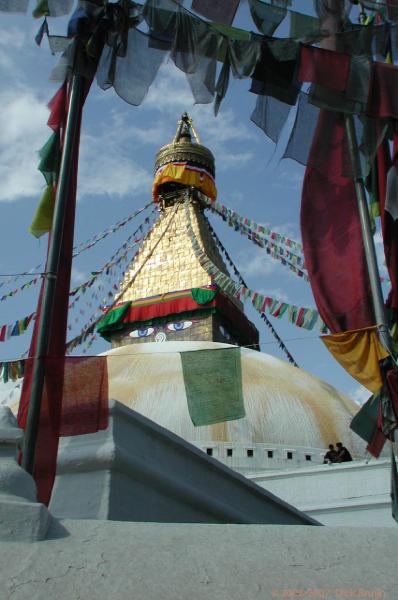 CHTN1945.jpg - Nepal: Bodnath: Stupa