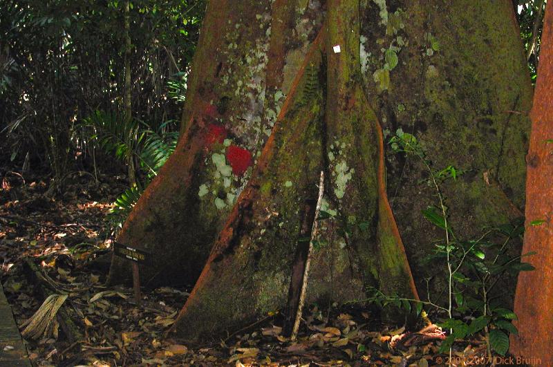 DSCN2177.jpg - Malaysia, Bako National Park