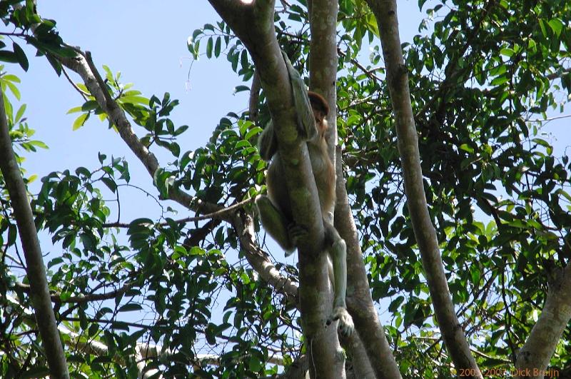 DSCN2200.jpg - Malaysia, Bako National Park