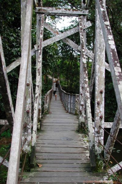 DSCN2323.jpg - Malaysia: Longhouse in jungle: Bridge over the river