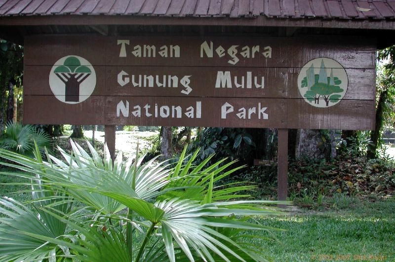 DSCN2422.jpg - Malaysia: Gunung Mulu National Park