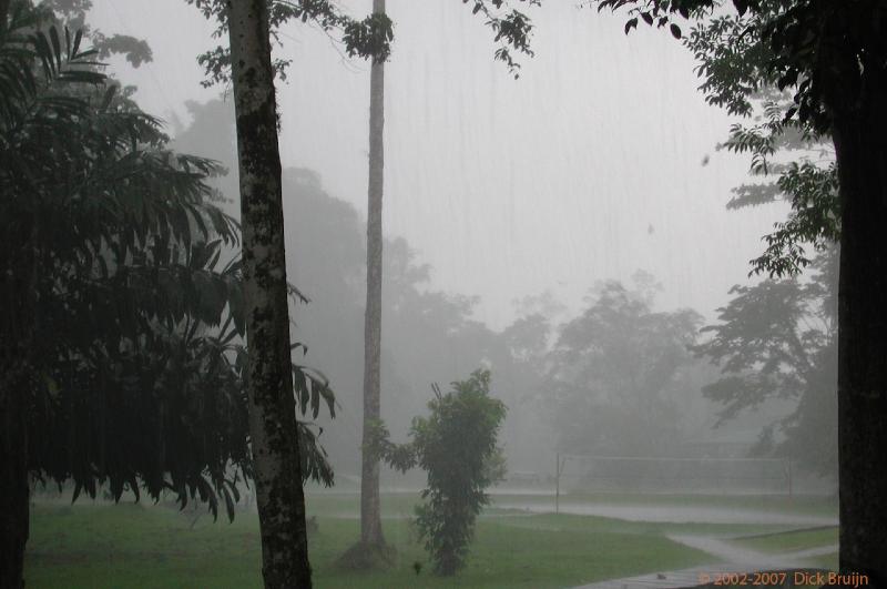 DSCN2441.jpg - Malaysia: Gunung Mulu National Park: Tropical Rain