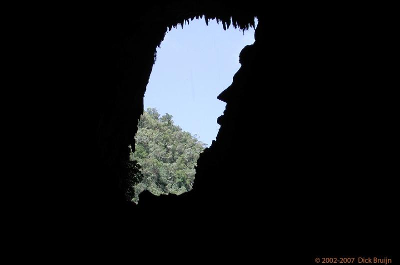 DSCN2455.jpg - Malaysia: Gunung Mulu National Park: President Lincoln in rock