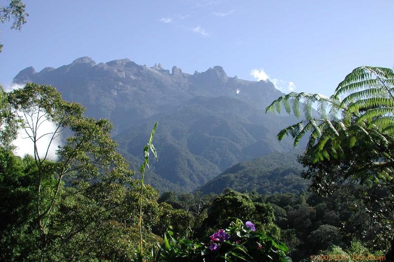 DSCN2577.jpg - Malaysia: Kinabalu National Park: Mount Kinabalu