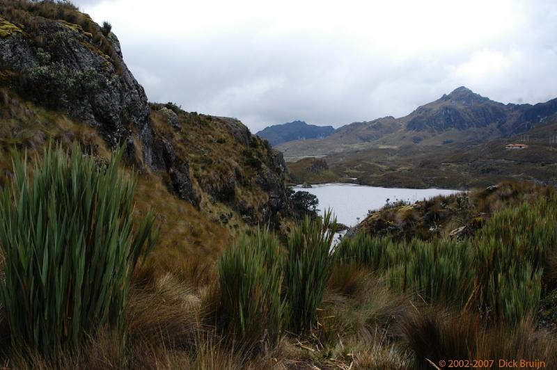 ECU0176.jpg - Ecuador: El Cajas