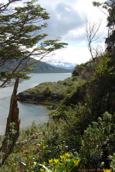 2006-11-24_16-43-25.jpg - Tierro del Fuego NP, Argentina