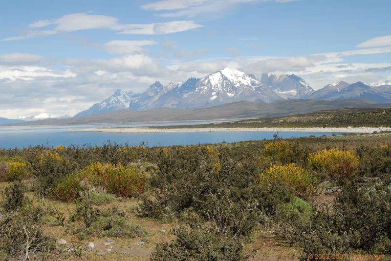 2006-11-26_10-23-35.jpg - Punta Arenas - Torres del Paine,  Chile