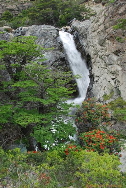 2006-11-27_11-50-52.jpg - Torres del Paine NP, Chile