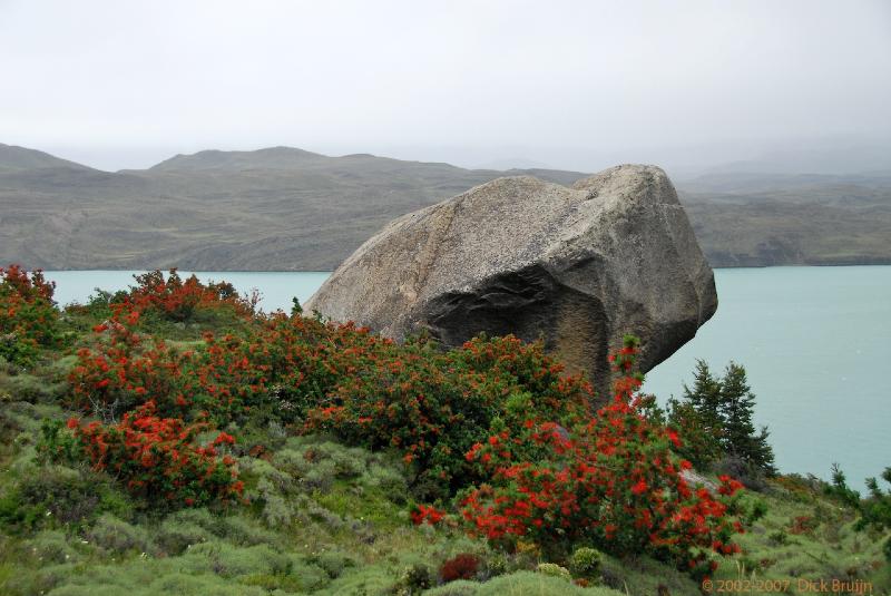 2006-11-27_14-07-52.jpg - Torres del Paine NP, Chile