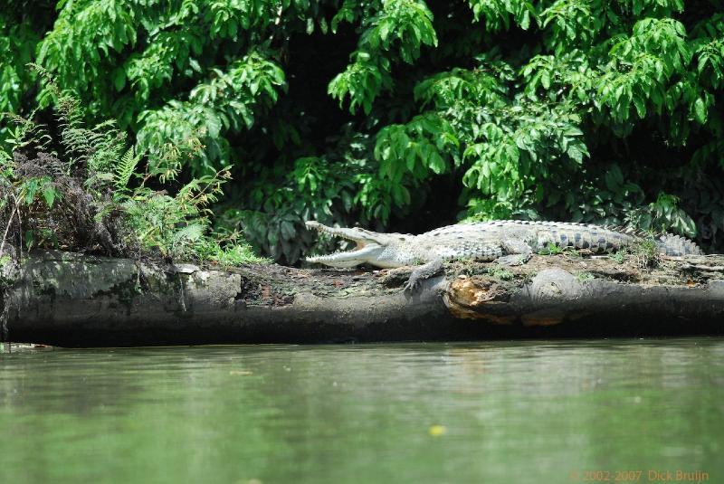 2007-03-20_11-33-42.jpg - Tortuguero canal, Costa Rica