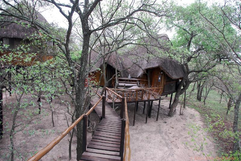 2007-11-06_08-52-36.jpg - Pezulu Tree House Lodge, Hoedspruit, South Africa