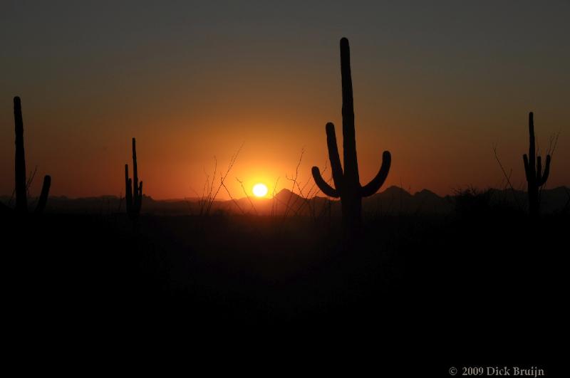 2009-09-24_17-16-33.jpg - Saguaro National Park, AZ, USA