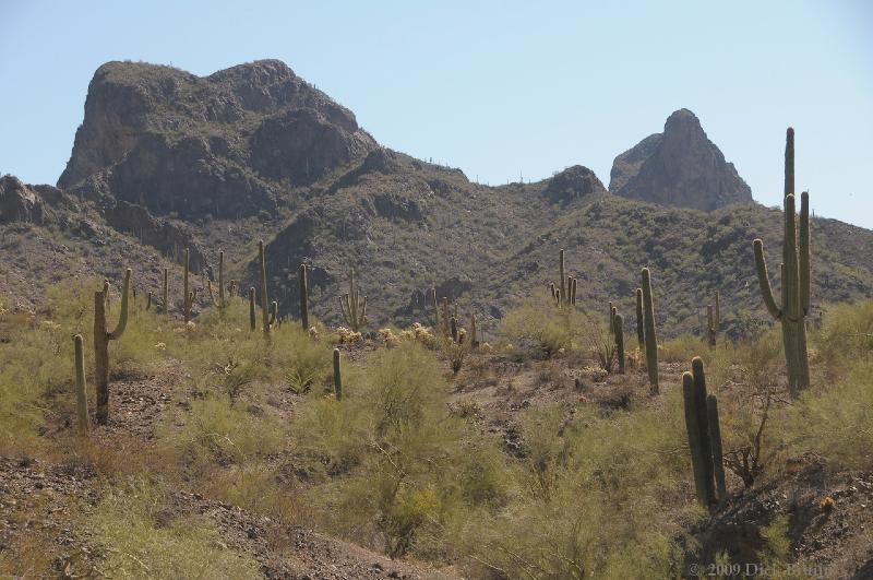 2009-09-26_09-21-22.jpg - Picacho Peak State Park, AZ, USA