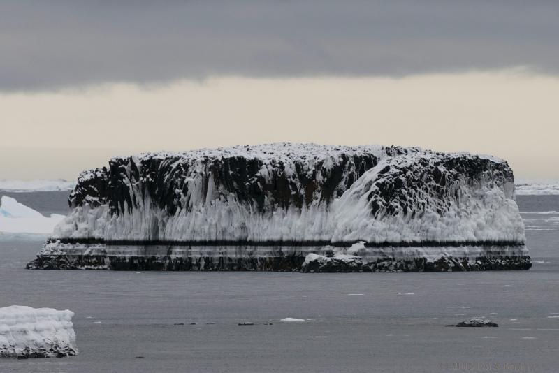 2012-04-02_15-50-44.jpg - Brown Bluff, Antarctica