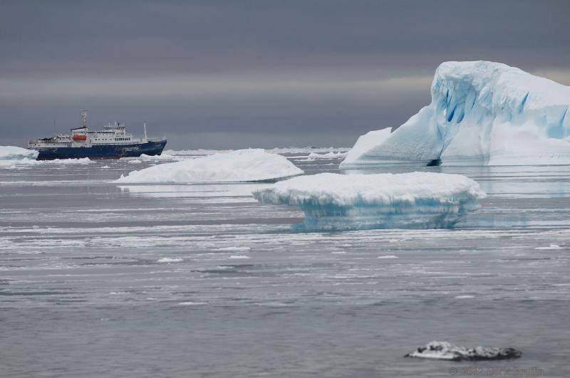 2012-04-02_16-06-55.jpg - Plancius, Brown Bluff  , Brown Bluff, Antarctica