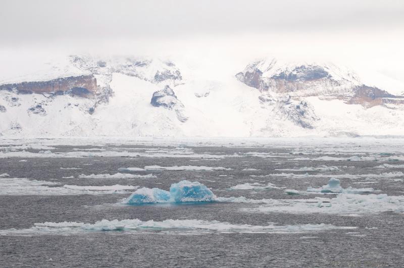 2012-04-02_18-17-32.jpg - Brown Bluff  , Antarctic Sound, Antarctica