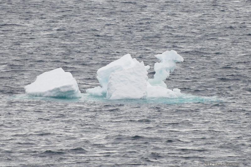 2012-04-02_18-20-45.jpg - Brown Bluff  , Antarctic Sound