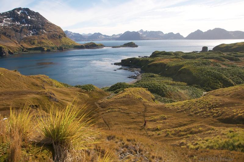 2012-04-13_15-10-02.jpg - Maiviken, South Georgia