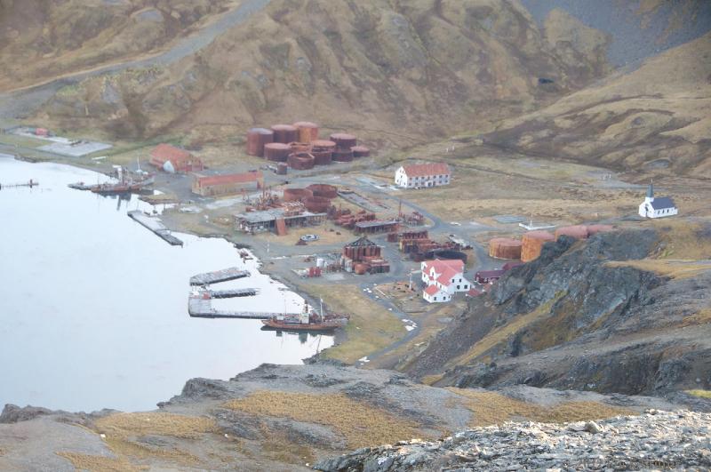 2012-04-16_19-44-14.jpg - Grytviken, South Georgia