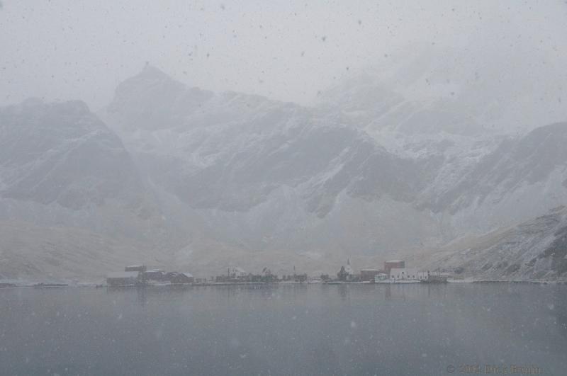 2012-04-17_20-02-46.jpg - Grytviken, South Georgia